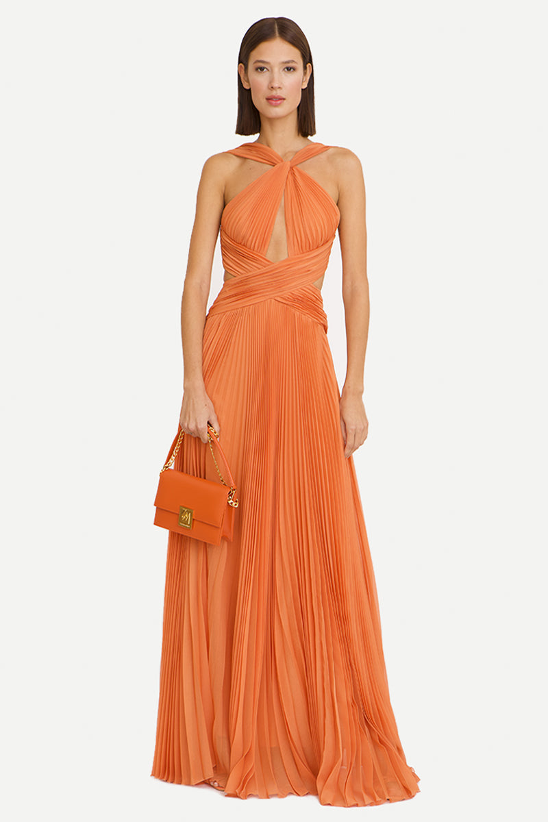 Avery Chiffon Backless Maxi Dress