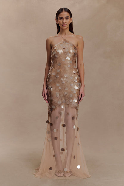 Jenny Hand-Embellished Gold Evening Dress