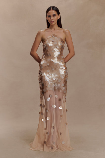 Jenny Hand-Embellished Gold Evening Dress