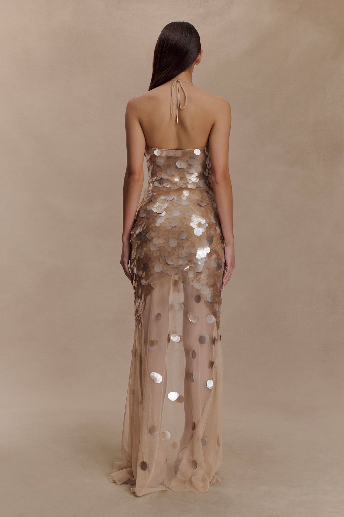 Jenny Hand-Embellished Gold Evening Dress