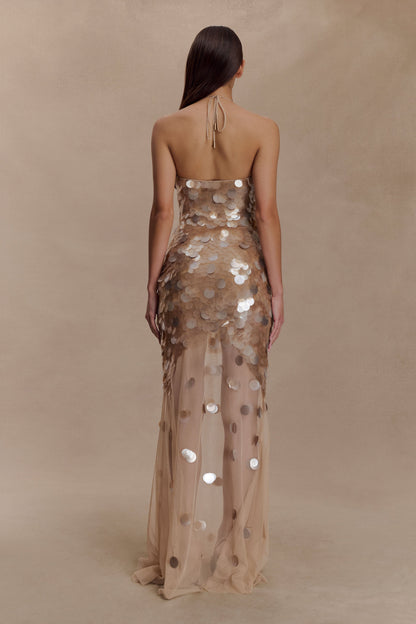 Jenny Hand-Embellished Gold Evening Dress