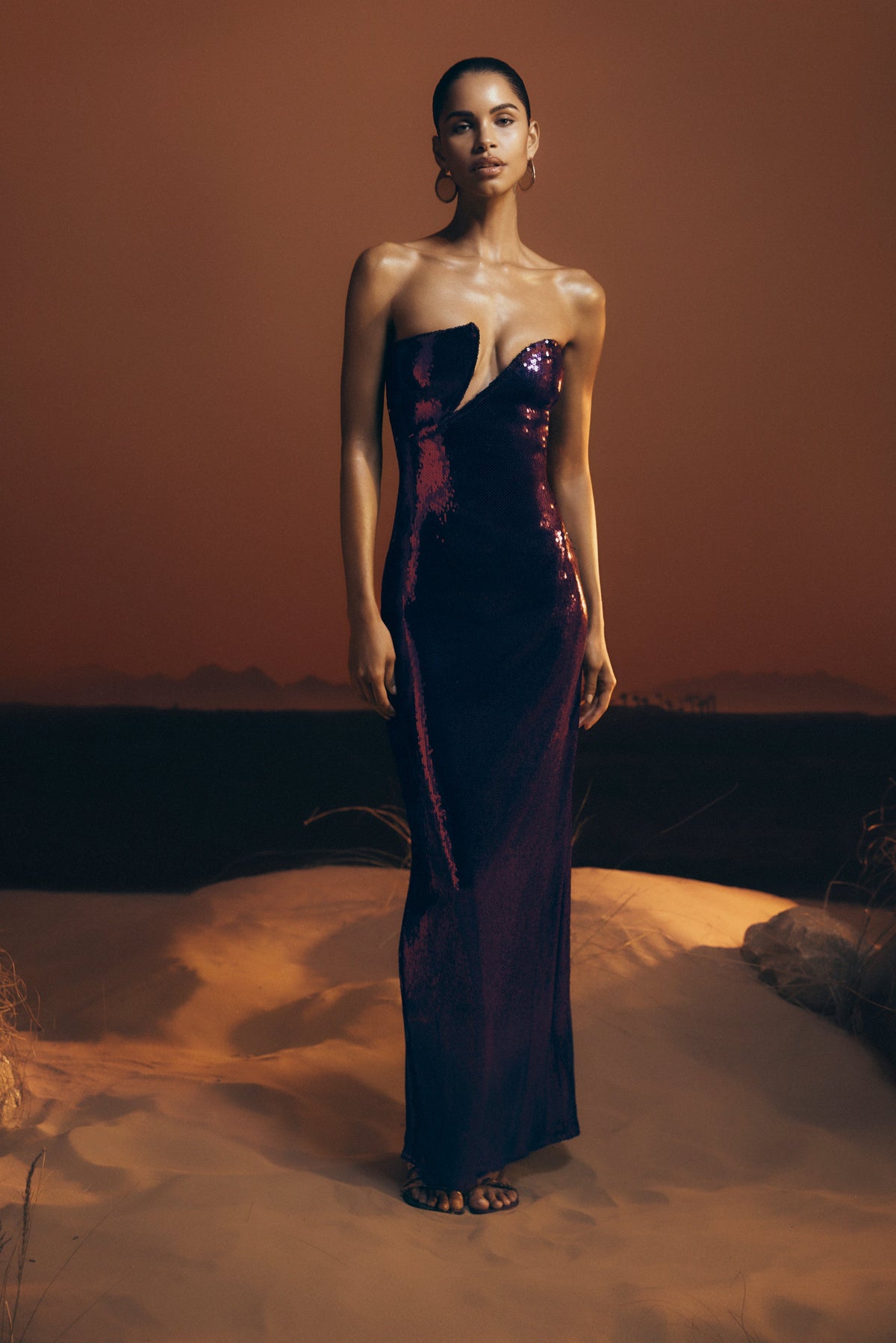 Aubrey Sequin Dress with Strapless Neck and Column Fit