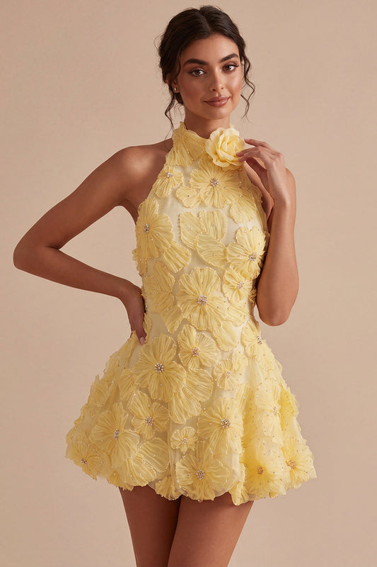 Isabeau Homecoming Dress with Beaded Lace and Open Back