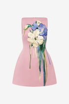 Alondra Embroidered Mini Dress in Pastel Pink