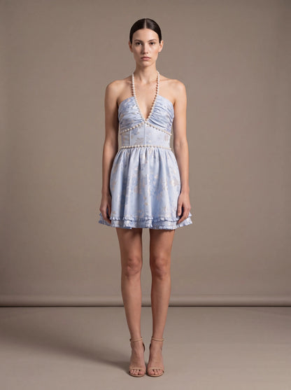 Alanis Velvet Mini Dress