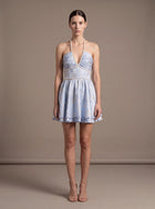 Alanis Velvet Mini Dress