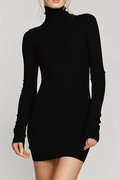 Ilaria Long Sleeve Mini Dress with Turtleneck and Ribbed Knit