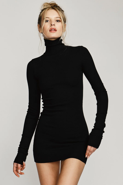 Ilaria Long Sleeve Mini Dress with Turtleneck and Ribbed Knit