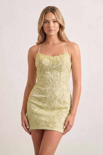 Georgiana Homecoming Dress with Lace Applique and Straps